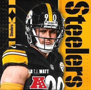 Meet your Posher, Joey